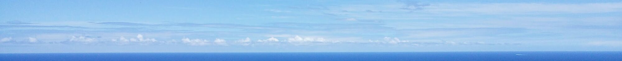 Primanage LLC の ホームページ